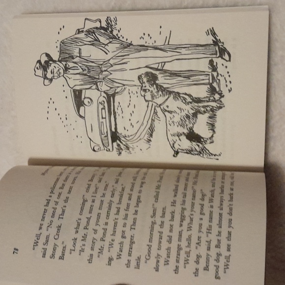 The boxcar children books - Picture 5 of 5